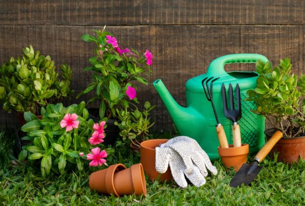 Conseils pour aménager son jardin
